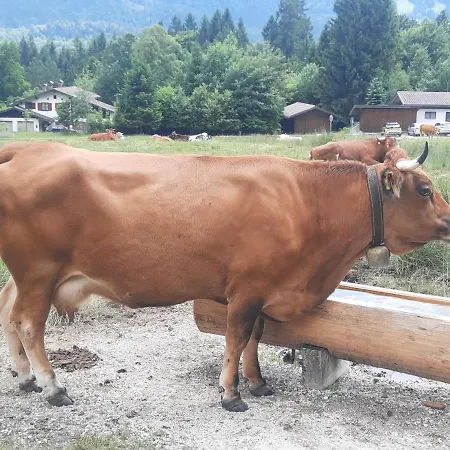 Fischer'S Postresidenzen Ettal Exterior photo